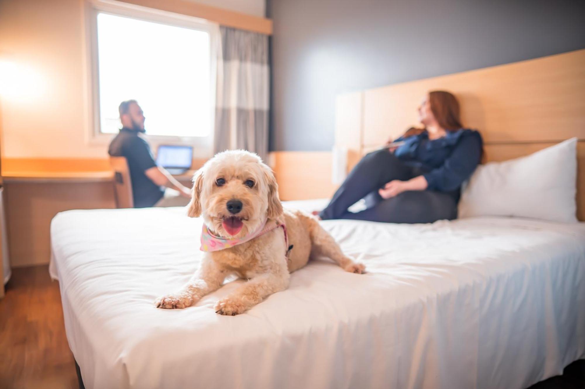 Ibis Itu Plaza Shopping Hotel Екстериор снимка